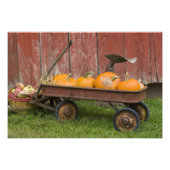 Pompoenen in oude wagen foto afdruk (Voorkant)