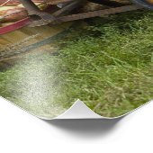 Pompoenen in oude wagen foto afdruk (Hoek)