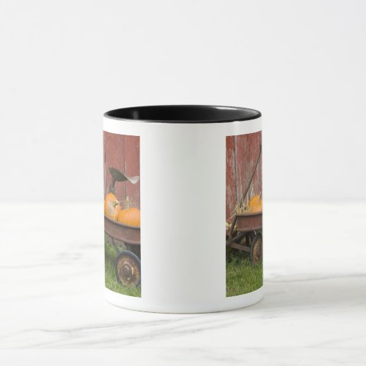 Pompoenen in oude wagen mok (Midden)