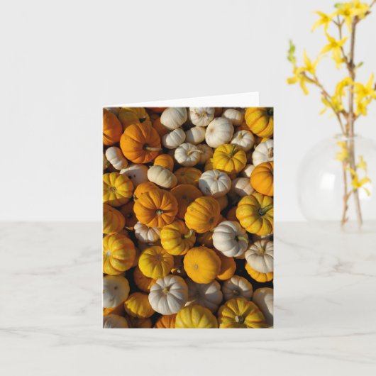 Pompoenen Kaart (Gele Bloem)