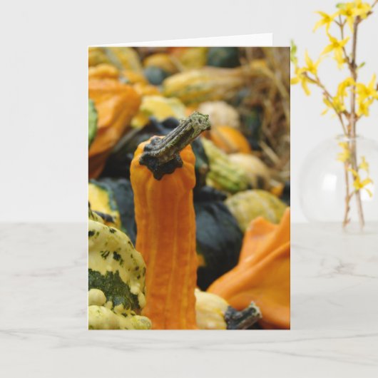 Pompoenen Kaart (Gele Bloem)