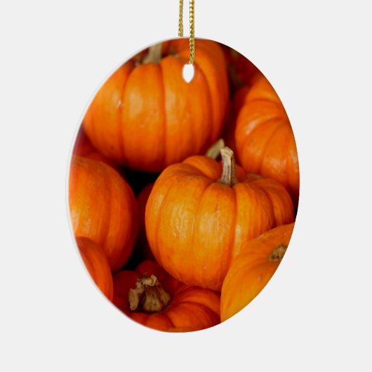 Pompoenen Keramisch Ornament (Rechts)