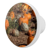 Pompoenen Keramische Knop (Rechts)