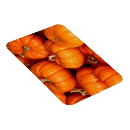 Pompoenen Magneet (Rechterzijde)
