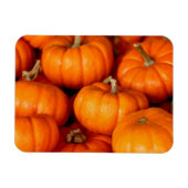 Pompoenen Magneet (Horizontaal)