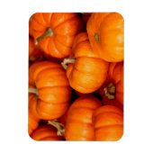 Pompoenen Magneet (Verticaal)