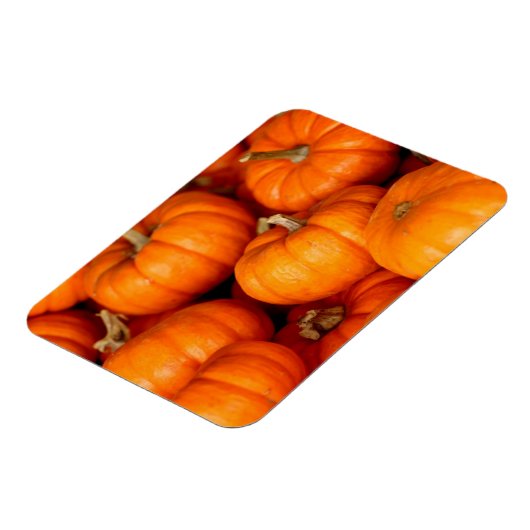 Pompoenen Magneet (Linkerzijde)