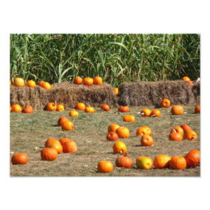 Pompoenen, maïs en hooi herfst oogst fotografie foto afdruk