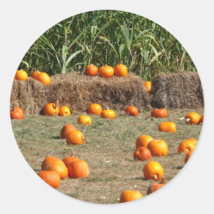 Pompoenen, maïs en hooi herfst oogst fotografie ronde sticker