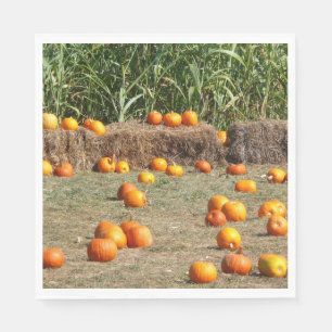 Pompoenen, maïs en hooi herfst oogst fotografie servet