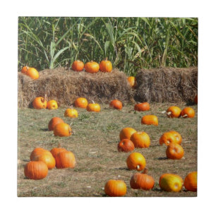 Pompoenen, maïs en hooi herfst oogst fotografie tegeltje