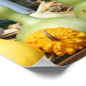 Pompoenen Maisstengels Boerenkraam Herfst Poster (Hoek)