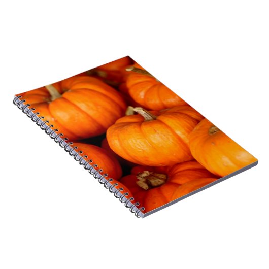 Pompoenen Notitieboek (Rechterzijde)