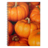 Pompoenen Notitieboek (Voorkant)
