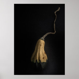 Pompoenen Nr 12 Kleurenversie Poster