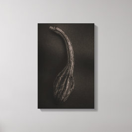 Pompoenen Nr 9 Canvas Afdruk