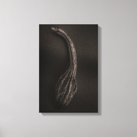 Pompoenen Nr 9 Canvas Afdruk (Voorkant)
