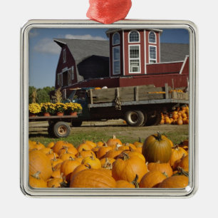 Pompoenen op boerderij in de herfst bij Concord, 2 Metalen Ornament