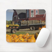 Pompoenen op boerderij in de herfst bij Concord, 2 Muismat (Met muis)