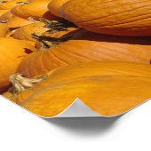 Pompoenen op boerderij in de herfst bij Concord, 2 Poster (Hoek)