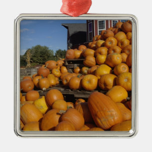 Pompoenen op boerderij in de herfst bij Concord, Metalen Ornament