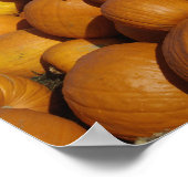 Pompoenen op boerderij in de herfst bij Concord, Poster (Hoek)