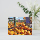 pompoenen op de markt briefkaart (Staand voorkant)