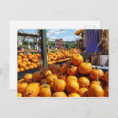 pompoenen op de markt briefkaart (Voorkant / Achterkant)