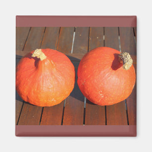 Pompoenen op een houten tafel magneet