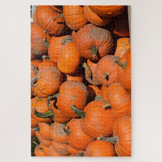Pompoenen, pompoenen, pompoenen - 20x30 - 1014 pcs legpuzzel (Verticaal)