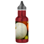 Pompoenen, pompoenen, roestvrijstalen waterflesjes waterfles  (Links)