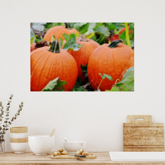 Pompoenen Poster (Keuken)