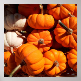 Pompoenen Poster