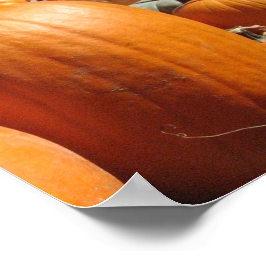 Pompoenen Poster (Hoek)