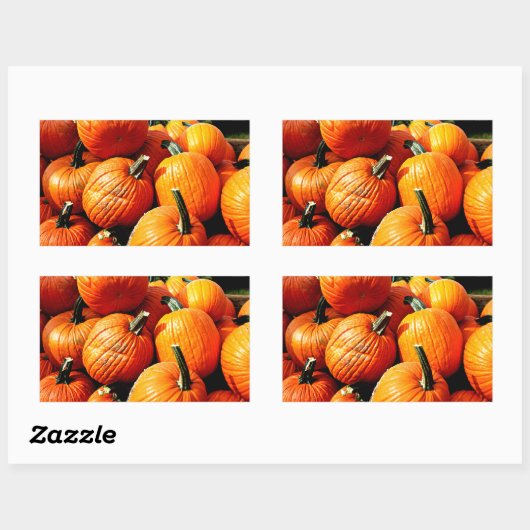 Pompoenen!! Rechthoekige Sticker (Vel)