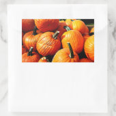 Pompoenen!! Rechthoekige Sticker (Tas)