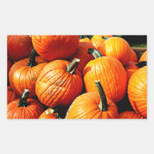 Pompoenen!! Rechthoekige Sticker (Voorkant)