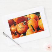 Pompoenen!! Rechthoekige Sticker (Envelop)