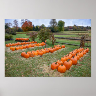 Pompoenen te koop, New York Boerderij Poster
