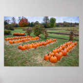 Pompoenen te koop, New York Boerderij Poster (Voorkant)