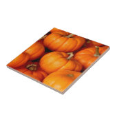 Pompoenen Tegeltje (Zijkant)