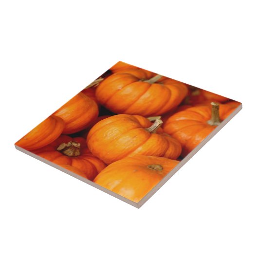 Pompoenen Tegeltje (Zijkant)