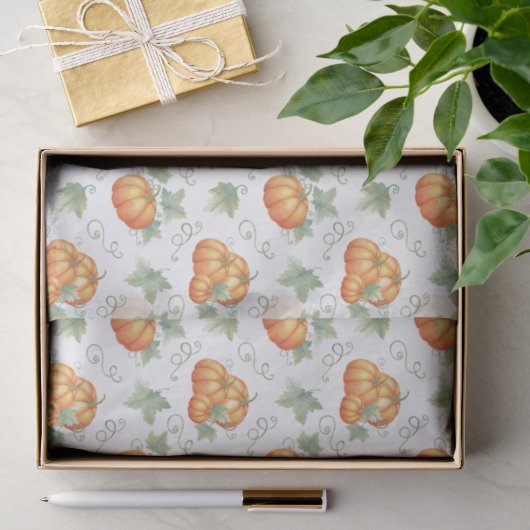 Pompoenen  tissuepapier (Geschenk)