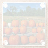 Pompoenen voor de verkoop van Onderzetter van glas (Achterkant)