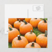 Pompoenen voor verkoop op de markt van een boer briefkaart (Voorkant / Achterkant)