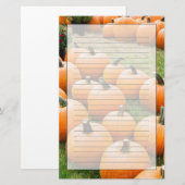 Pompoenen voor verkoop op de markt van een boer briefpapier (Voorkant / Achterkant)