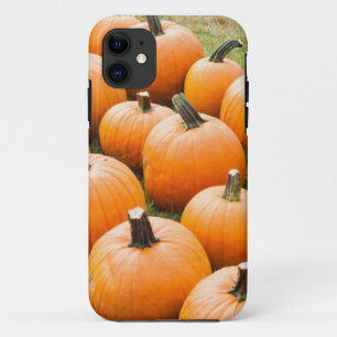 Pompoenen voor verkoop op de markt van een boer Case-Mate iPhone case