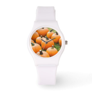 Pompoenen voor verkoop op de markt van een boer horloge