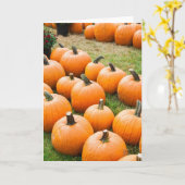 Pompoenen voor verkoop op de markt van een boer kaart (Gele Bloem)