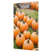 Pompoenen voor verkoop op de markt van een boer klembord (Links)